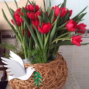 Meet your Posher, Trung